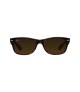 RayBan - RB2132 Wayfarer