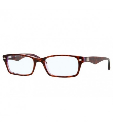 RayBan - RB5206